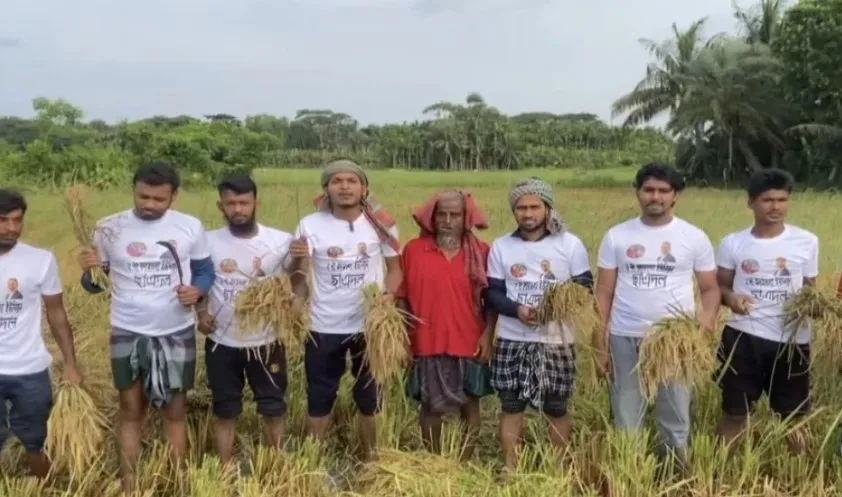 পিরোজপুরে কৃষকদের পাশে দাঁড়ালো ছাত্রদল